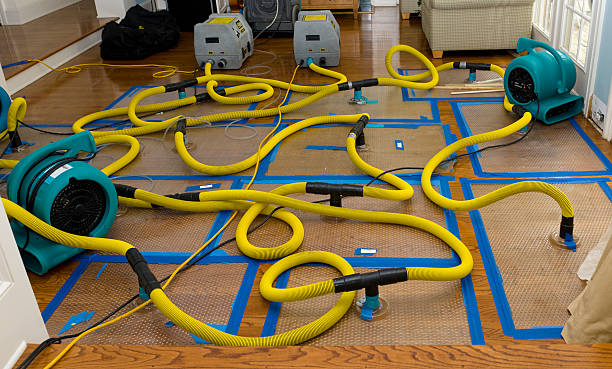 Professional Basement Flood Cleanup technician working in Pateros, WA
